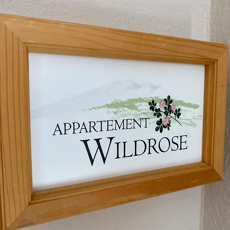 Holiday home Appartementhaus Zur Bergwiese Furstenau (Saxony)