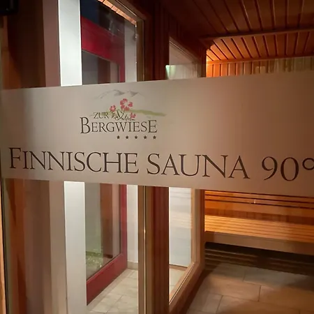 Holiday home Appartementhaus Zur Bergwiese Furstenau (Saxony)