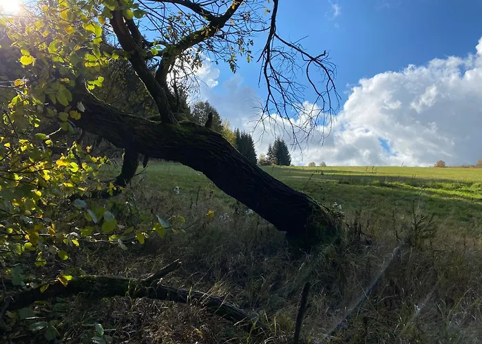 Appartementhaus Zur Bergwiese