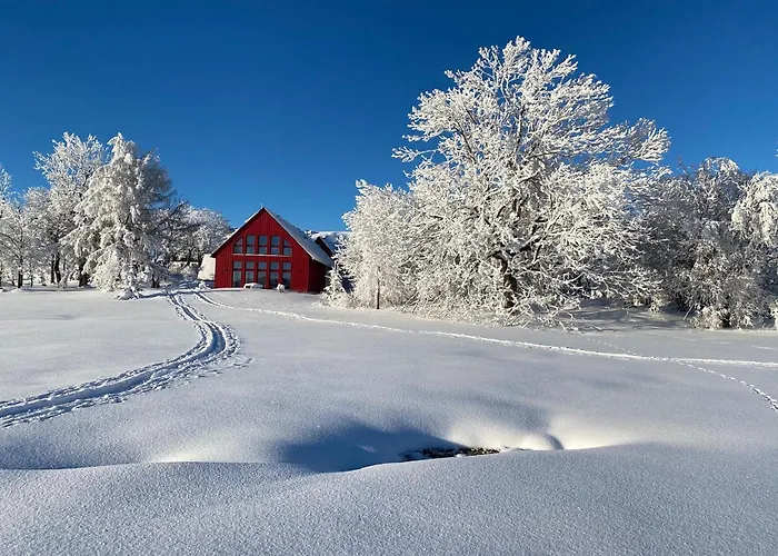 Сasa de vacaciones Appartementhaus Zur Bergwiese Furstenau (Saxony)