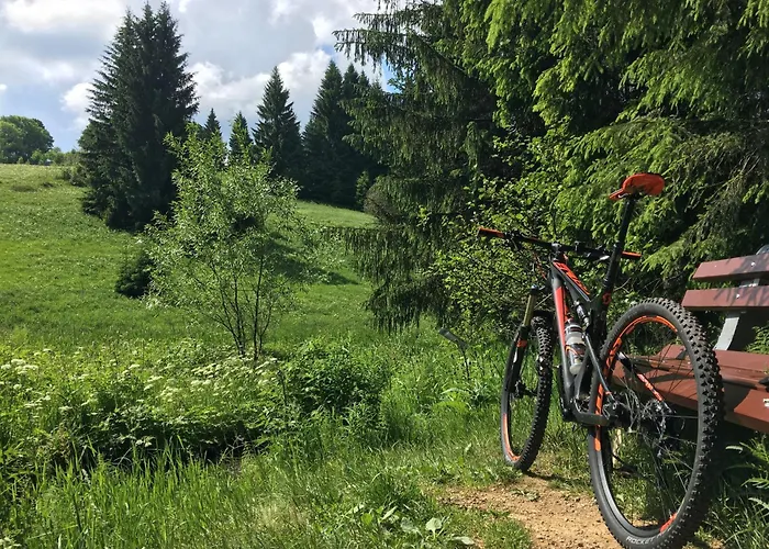 Appartementhaus Zur Bergwiese Сasa de vacaciones Furstenau (Saxony)